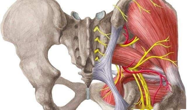 椅子开髋_髋关节训练椅_髋关节坐