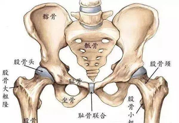 开yun体育app官方下载入口 “老师，练瑜伽为什么要开髋？”教练常用的12个开髋体式教程