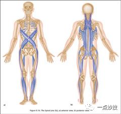 反重力跑步鞋_0重力跑步机_反重力跑步机原理