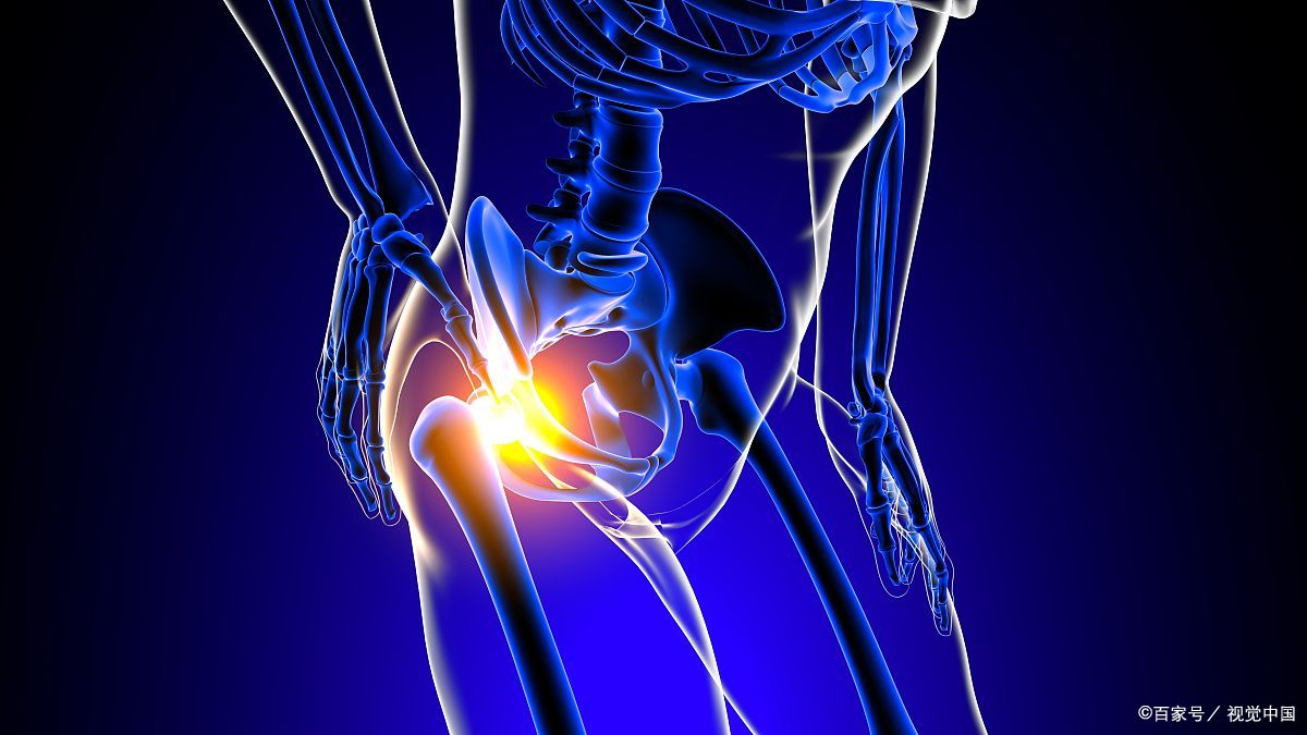 髋关节训练椅说明书_髋关节训练椅的用途_髋关节训练椅