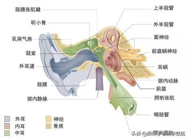 感统训练坐独角椅_感统训练单腿椅_椅子练腿