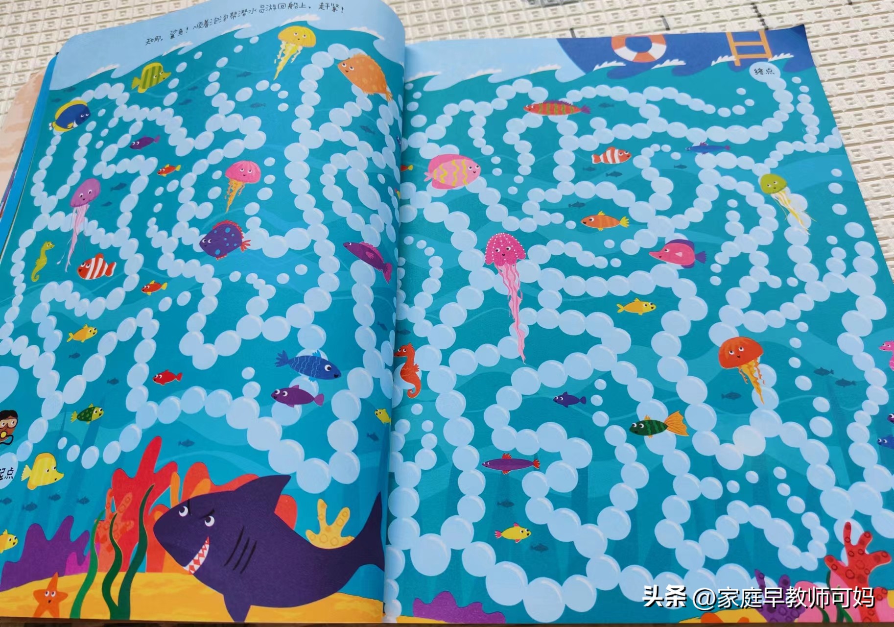 椅子体能训练_感统训练单腿椅_感统训练坐独角椅