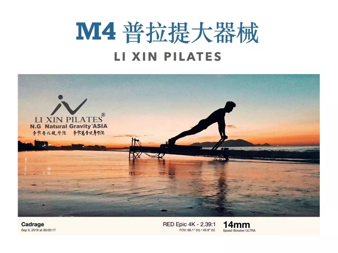 大型全身综合训练器_全身训练入门_全身训练动作大全