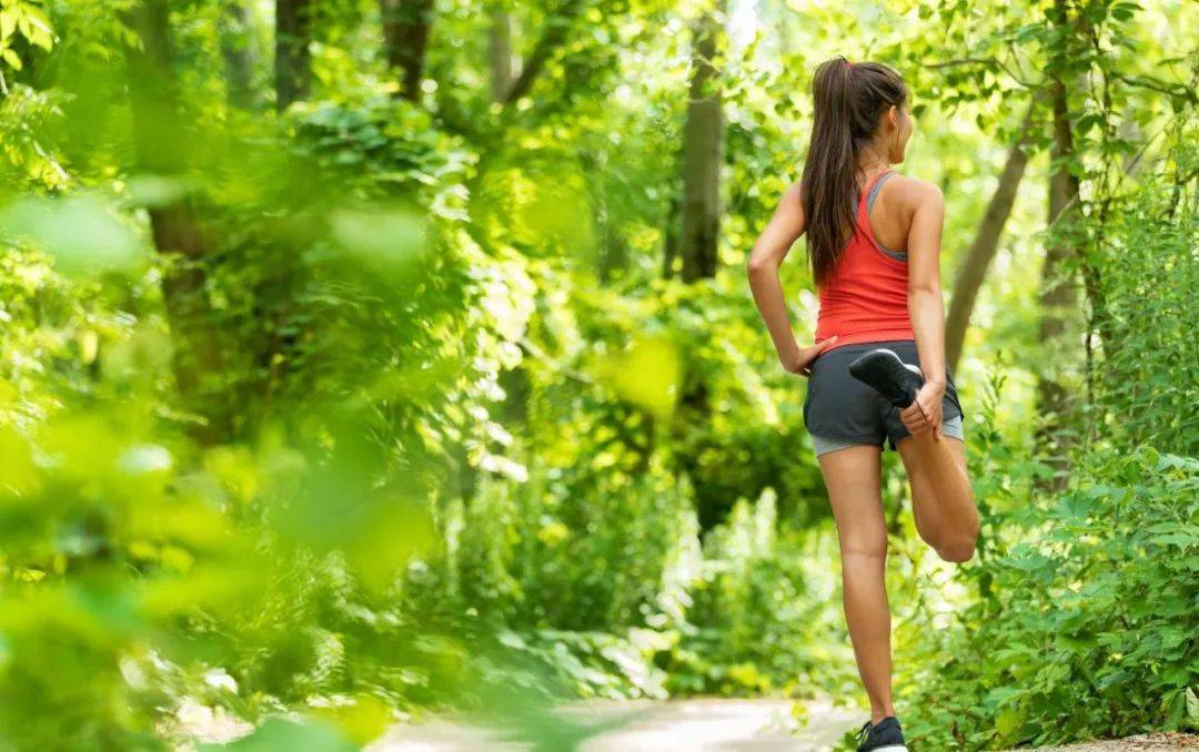 髋关节训练椅_髋关节训练椅的用途_髋关节训练椅说明书