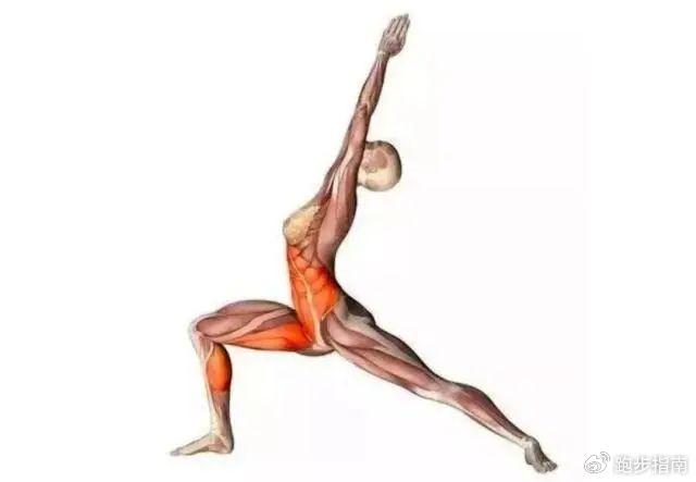 髋关节训练椅_髋关节训练椅的用途_髋关节训练器的适应症