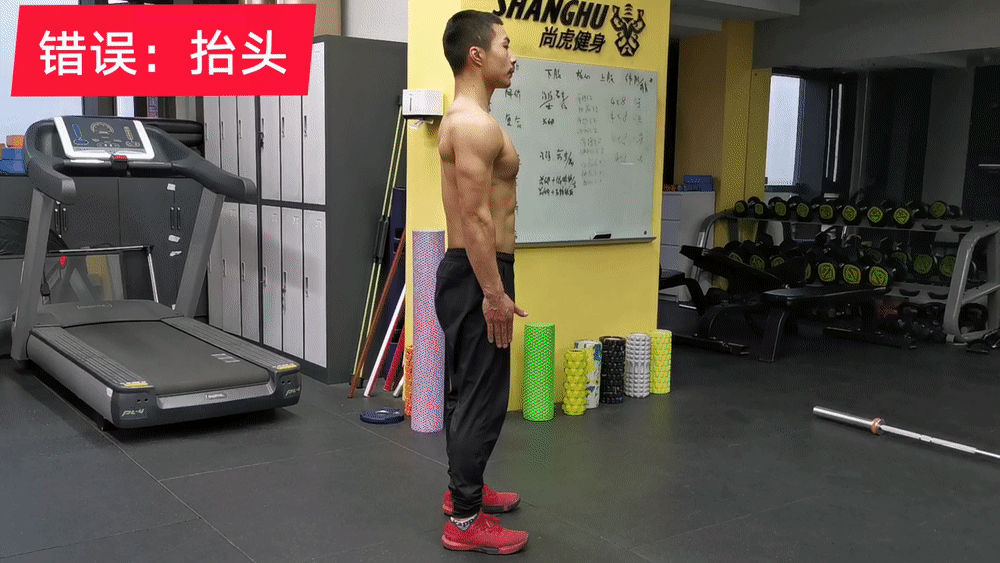 髋关节训练椅说明书_髋关节训练椅_髋关节坐姿