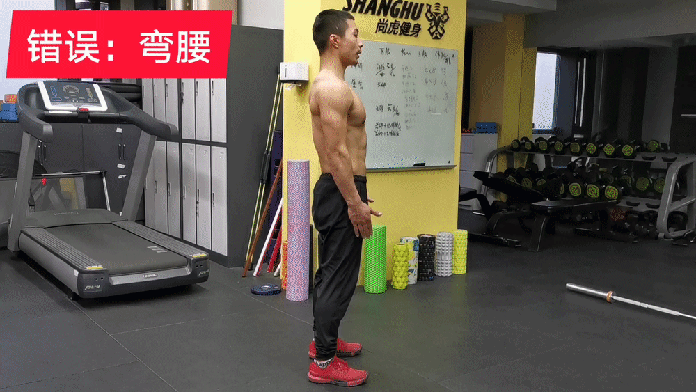 髋关节坐姿_髋关节训练椅说明书_髋关节训练椅