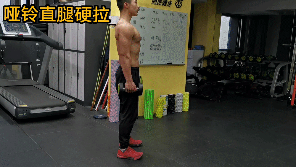 髋关节坐姿_髋关节训练椅说明书_髋关节训练椅