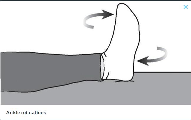 髋关节训练椅_髋关节训练椅说明书_髋关节训练器的适应症