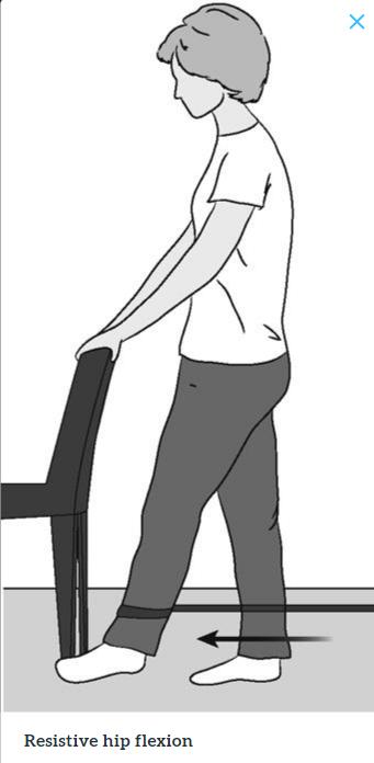 髋关节训练椅说明书_髋关节训练器的适应症_髋关节训练椅