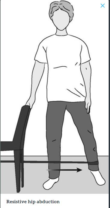 髋关节训练椅说明书_髋关节训练椅_髋关节训练器的适应症