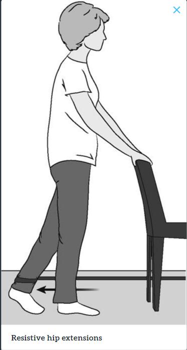 髋关节训练椅说明书_髋关节训练椅_髋关节训练器的适应症