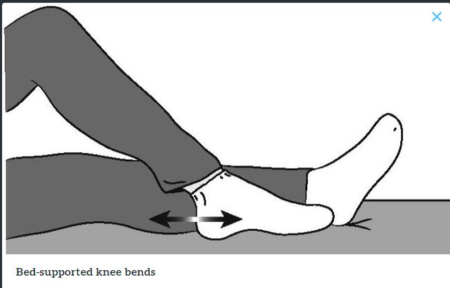髋关节训练器的适应症_髋关节训练椅说明书_髋关节训练椅