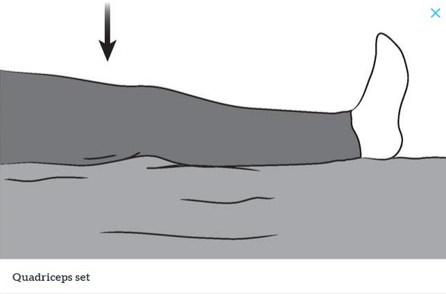 髋关节训练椅说明书_髋关节训练椅_髋关节训练器的适应症