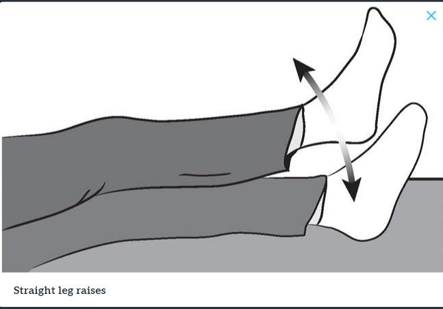 髋关节训练椅说明书_髋关节训练椅_髋关节训练器的适应症