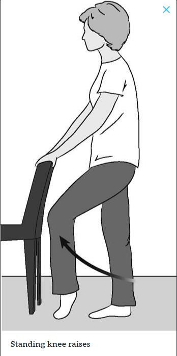 髋关节训练椅说明书_髋关节训练椅_髋关节训练器的适应症