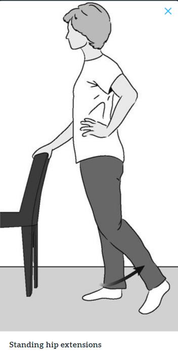 髋关节训练椅_髋关节训练器的适应症_髋关节训练椅说明书