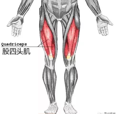 股四头肌训练椅安装步骤_股四头肌训练椅注意事项_股四头肌训练椅