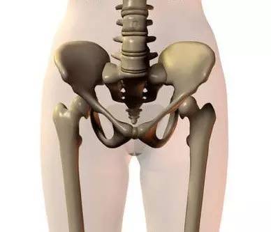 kaiyun下载app下载安装手机版 人工关节置换术后------康复训练及注意事项