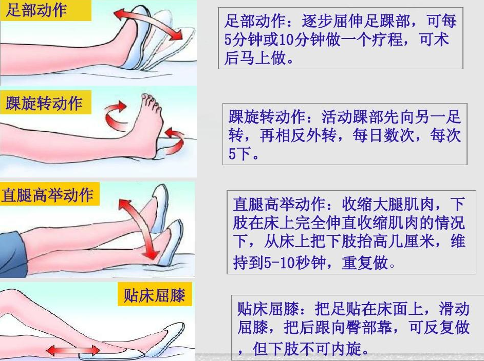 髋关节训练器的适应症_髋关节训练椅的用途_髋关节训练椅