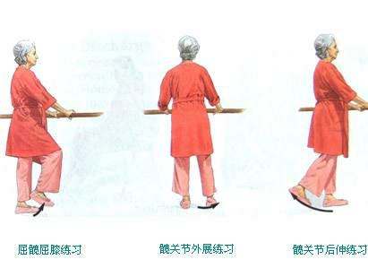 髋关节训练椅的用途_髋关节训练器的适应症_髋关节训练椅