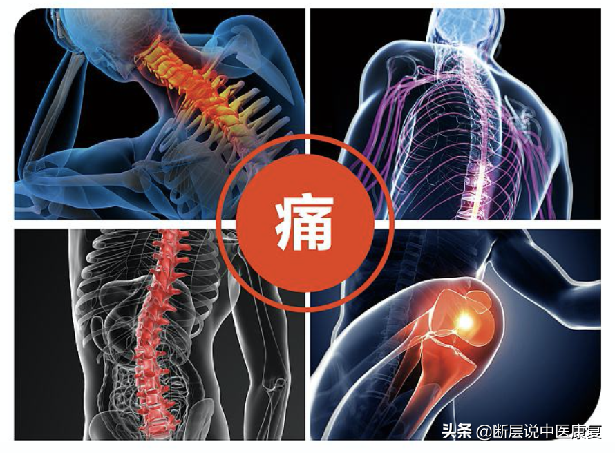 kaiyun体育 精准拉伸解剖图，告别肩颈腰背疼痛