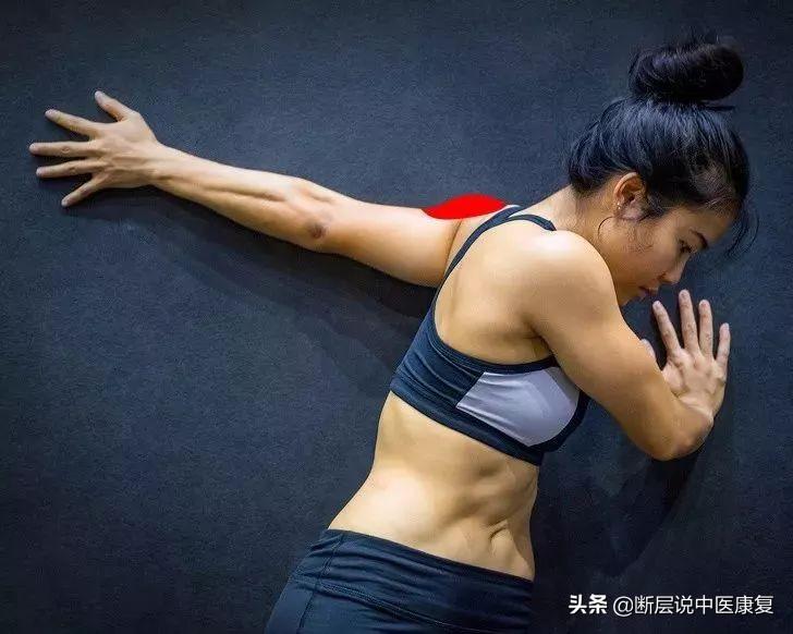 髋关节训练器_髋关节训练器的适应症_髋关节训练椅