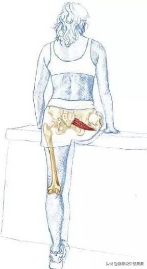 髋关节训练器_髋关节训练椅_髋关节训练器的适应症