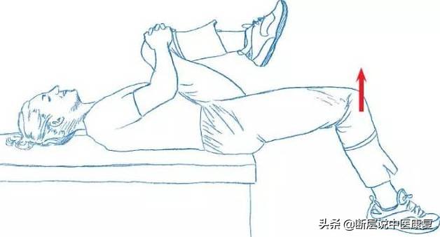 髋关节训练器的适应症_髋关节训练器_髋关节训练椅