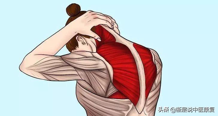 髋关节训练器_髋关节训练器的适应症_髋关节训练椅