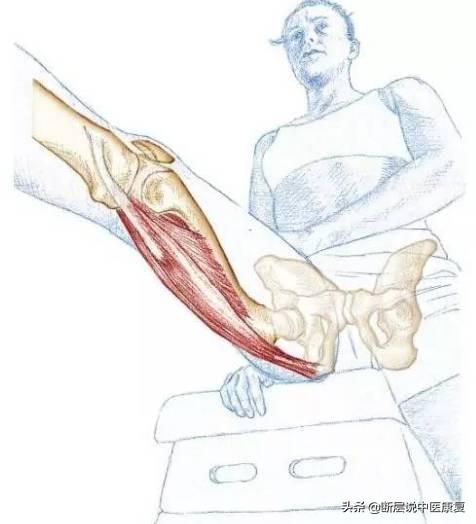 髋关节训练器的适应症_髋关节训练器_髋关节训练椅