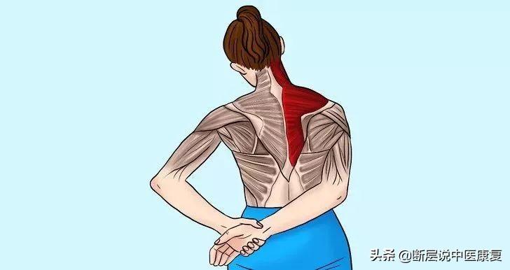 髋关节训练器的适应症_髋关节训练器_髋关节训练椅