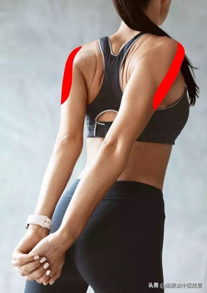 髋关节训练器_髋关节训练器的适应症_髋关节训练椅