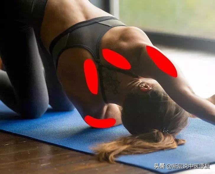 髋关节训练椅_髋关节训练器_髋关节训练器的适应症