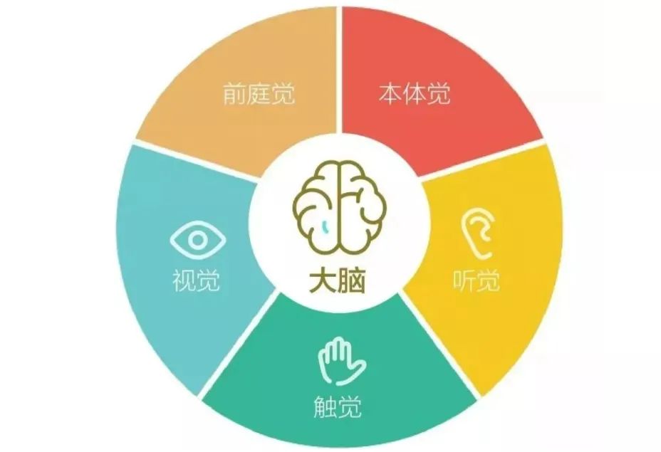 感统训练单脚站立_感统训练坐独角椅_感统训练单腿椅