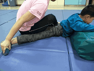 髋关节训练椅_髋关节训练器_髋关节训练椅的用途