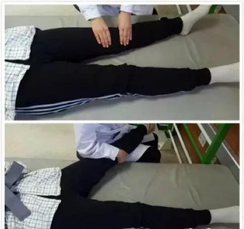 髋关节坐姿_髋关节训练器的适应症_髋关节训练椅