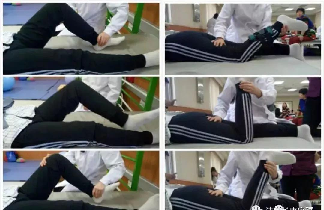 髋关节坐姿_髋关节训练器的适应症_髋关节训练椅