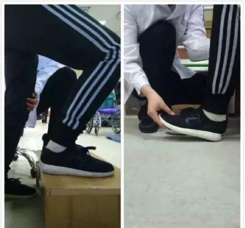 髋关节训练器的适应症_髋关节坐姿_髋关节训练椅