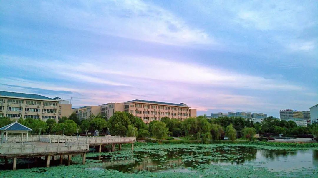 蔡维燕_蔡维燕_蔡维燕