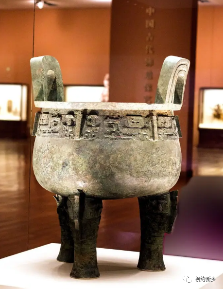 综合训练器锻炼视频教程_万年青综合训练器_综合训练器训练计划