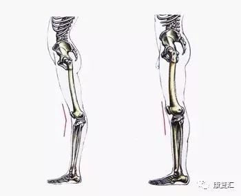 髋关节训练椅说明书_髋关节训练椅_髋关节训练器的适应症