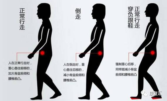 髋关节训练器的适应症_髋关节训练椅说明书_髋关节训练椅