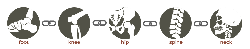 开yun体育官网入口登录app 下蹲训练之“髋关节铰链”