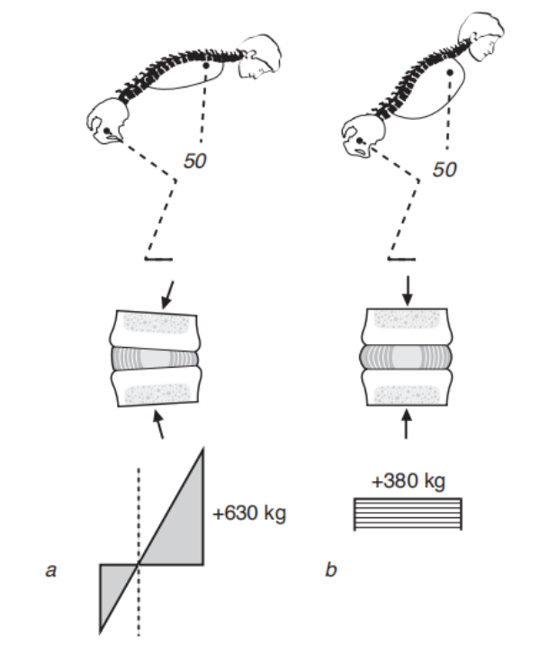 髋关节训练椅_髋关节坐姿_髋关节训练器的适应症
