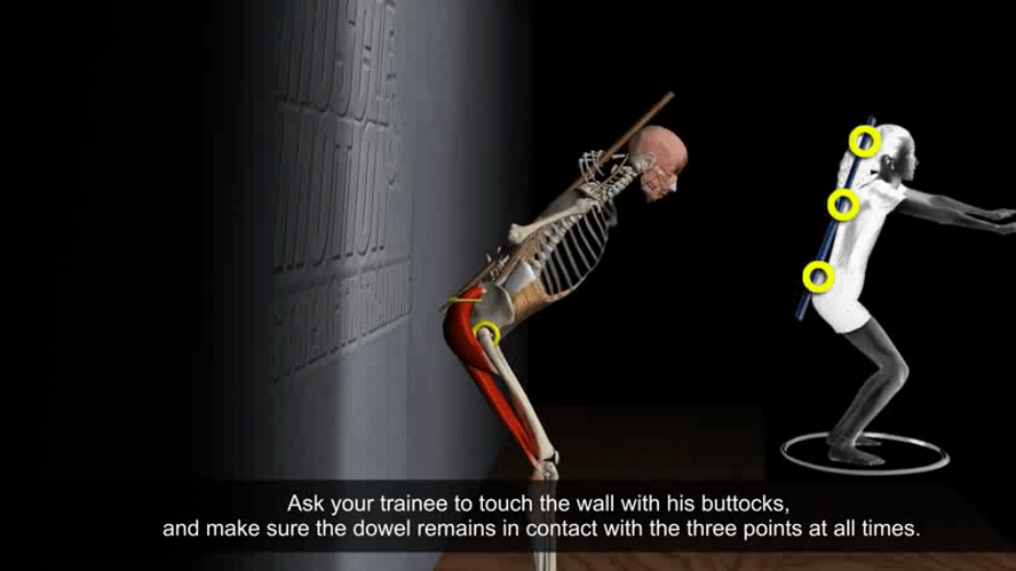 髋关节训练椅_髋关节坐姿_髋关节训练器的适应症