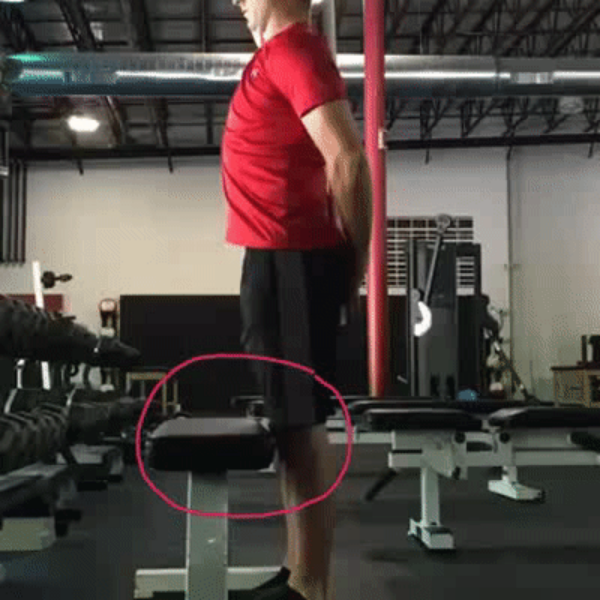 髋关节训练椅_髋关节坐姿_髋关节训练器的适应症