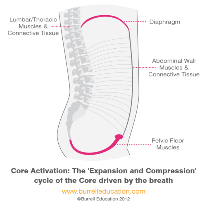 髋关节坐姿_髋关节训练器的适应症_髋关节训练椅