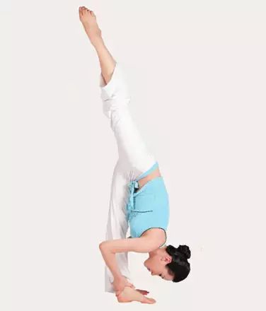 髋关节训练椅_髋关节训练椅说明书_髋关节训练椅的用途