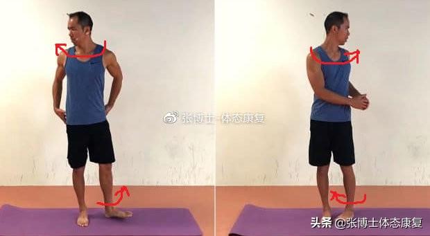 髋关节训练椅_髋关节训练椅的用途_髋关节训练椅说明书